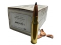 .308/7.62x51mm ammo