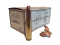 .300 AAC Blackout ammo